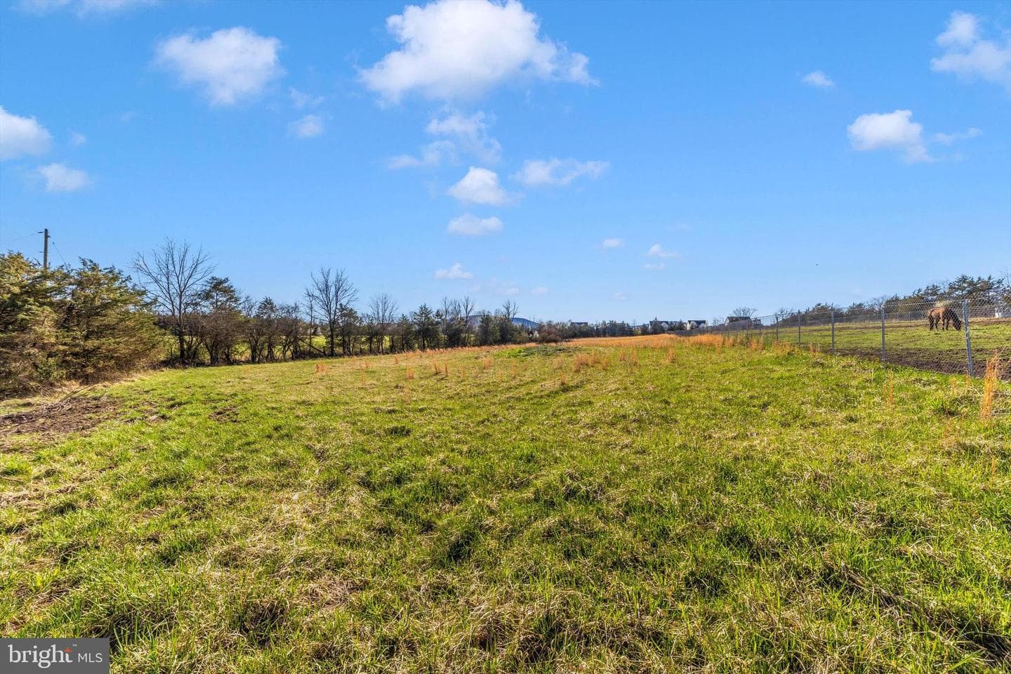17449 Irishtown Road photo 64