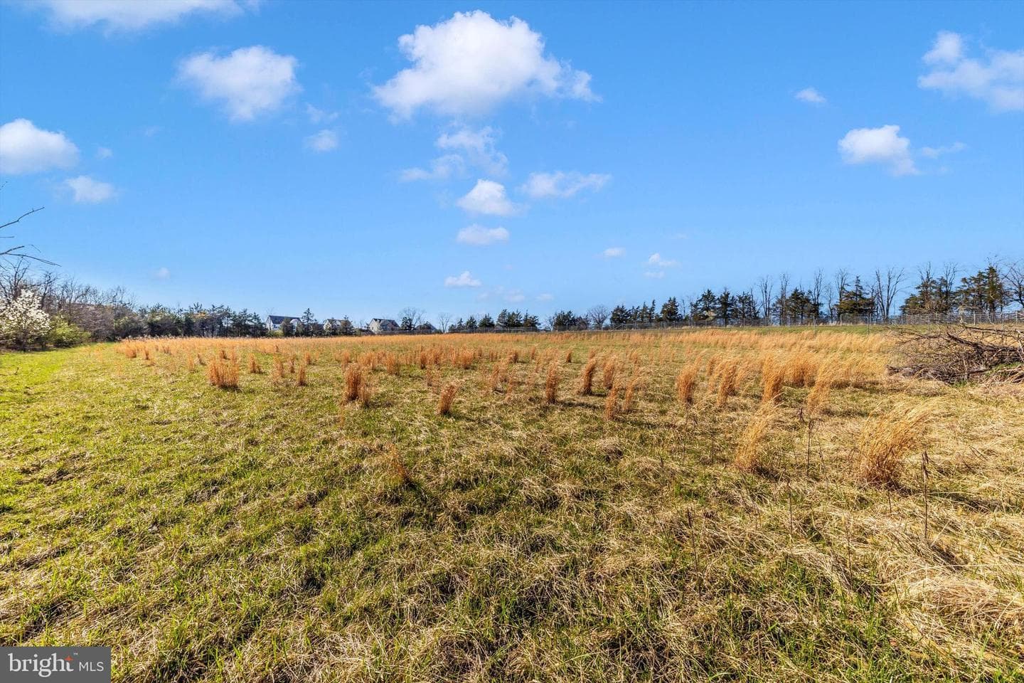 17449 Irishtown Road photo 66