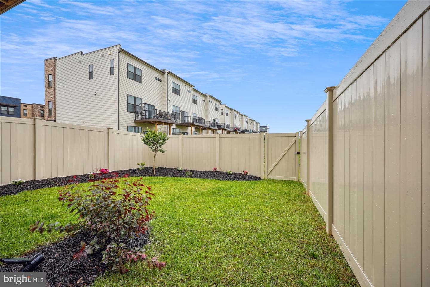 853 Amity Street photo 40