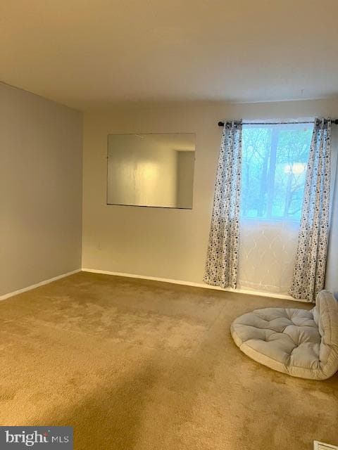 7183 Cimarron Court photo 14