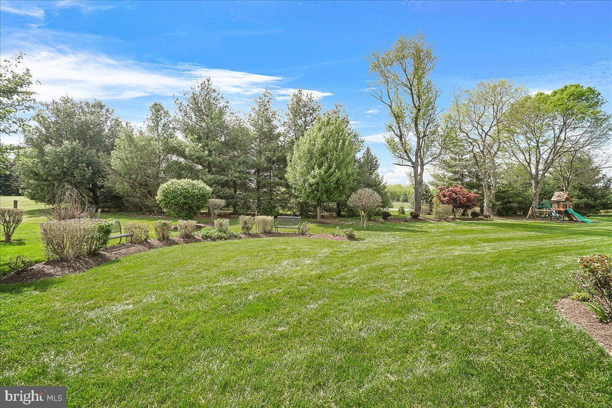 10107 Statesman Court photo 50