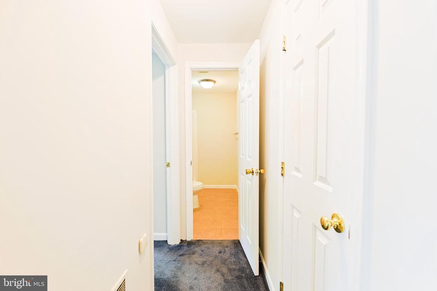 1507 Scott Chase Drive photo 45