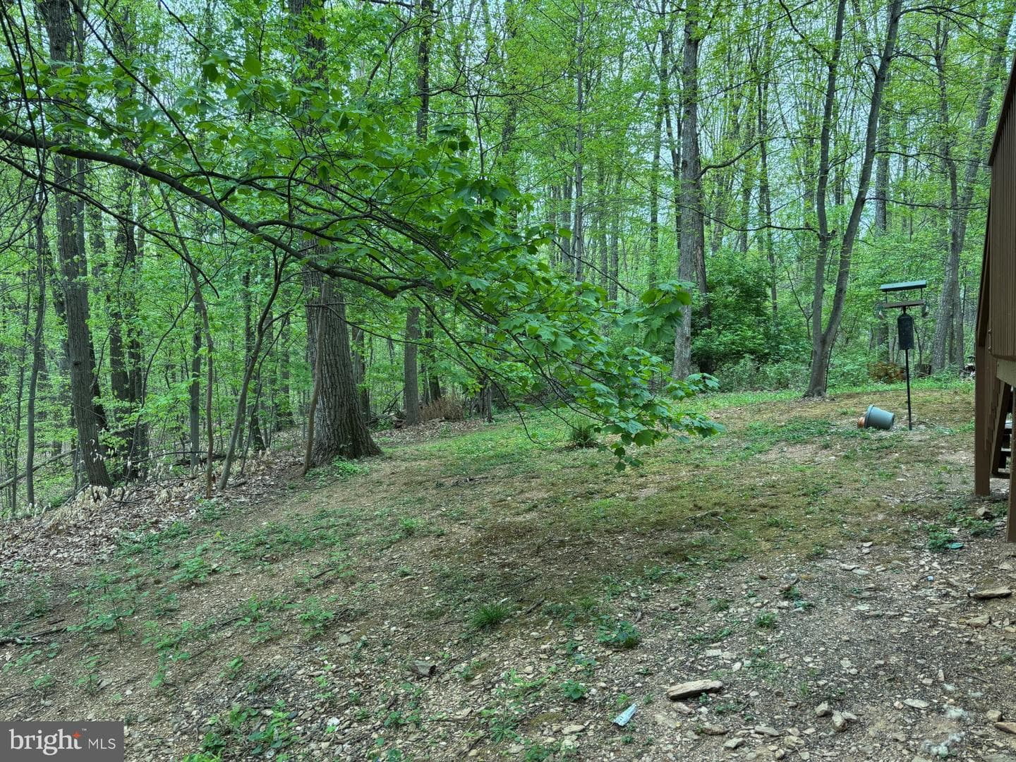 12350 Sherwood Forest photo 13