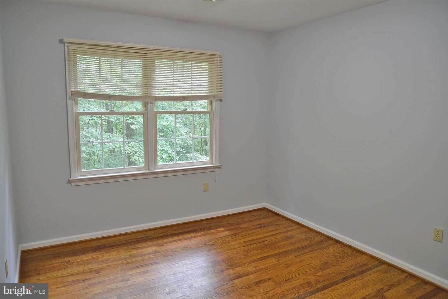 12350 Sherwood Forest photo 24