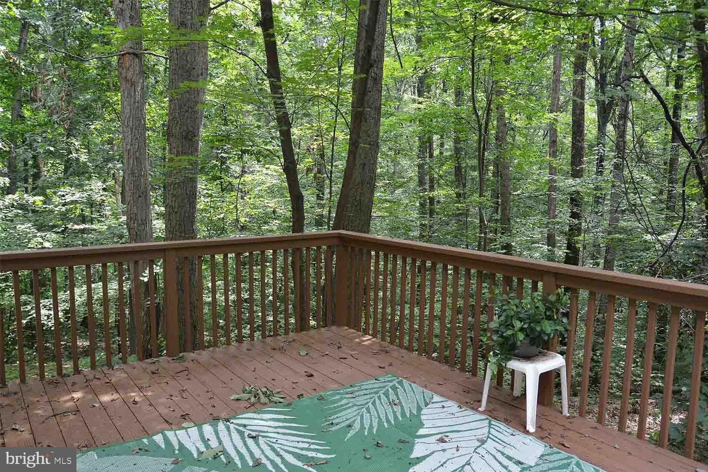 12350 Sherwood Forest photo 34