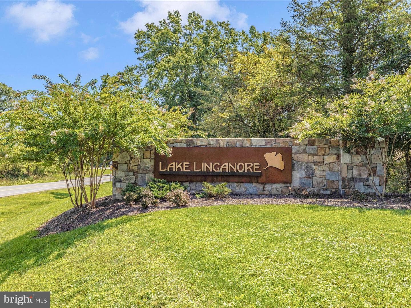 10200 Nuthatch Drive photo 55
