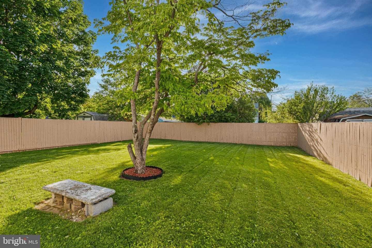 319 Redwood Avenue photo 24