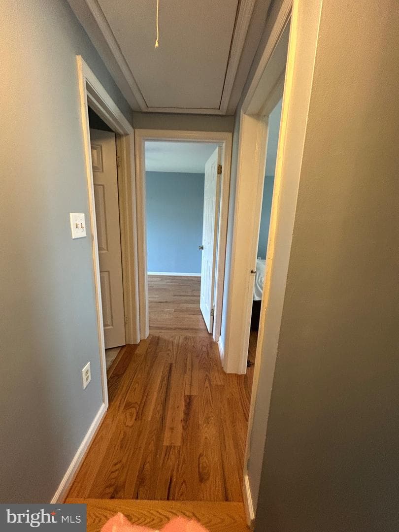12 Emmit Court photo 22