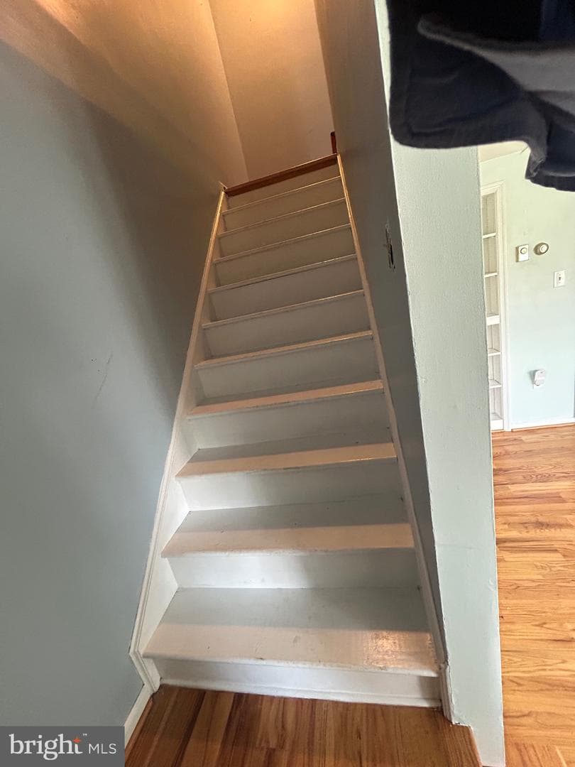 12 Emmit Court photo 24