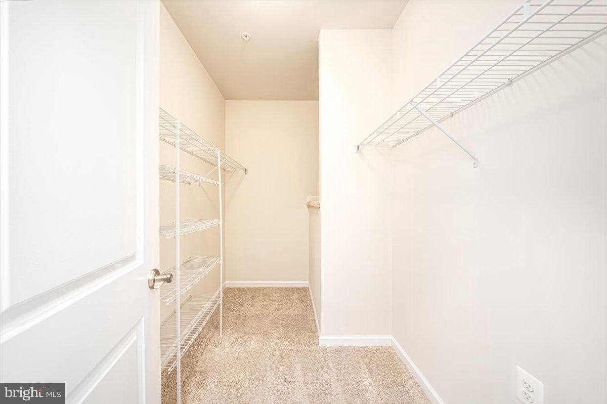 5831 Rochefort Street photo 6