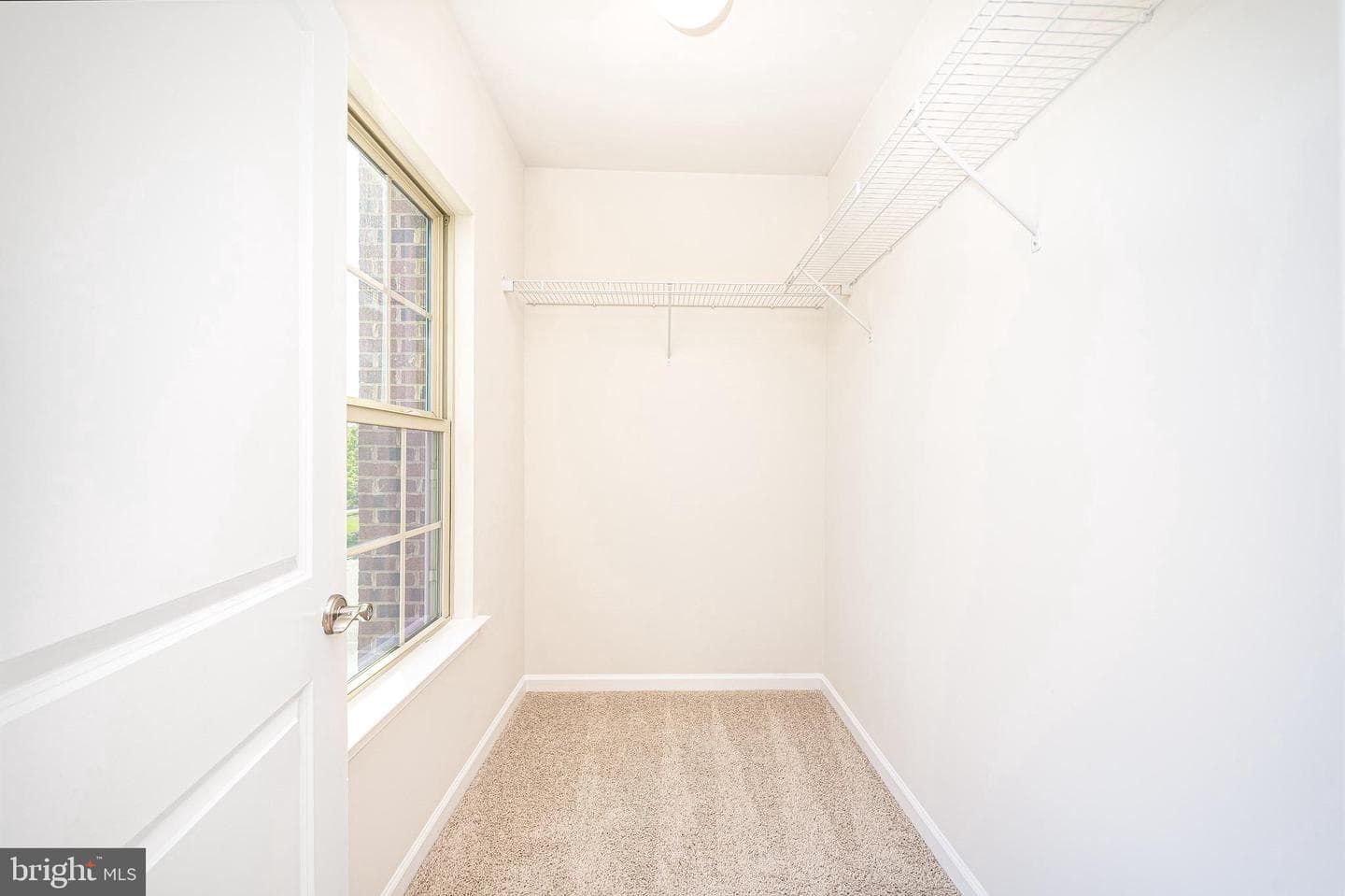 5831 Rochefort Street photo 7