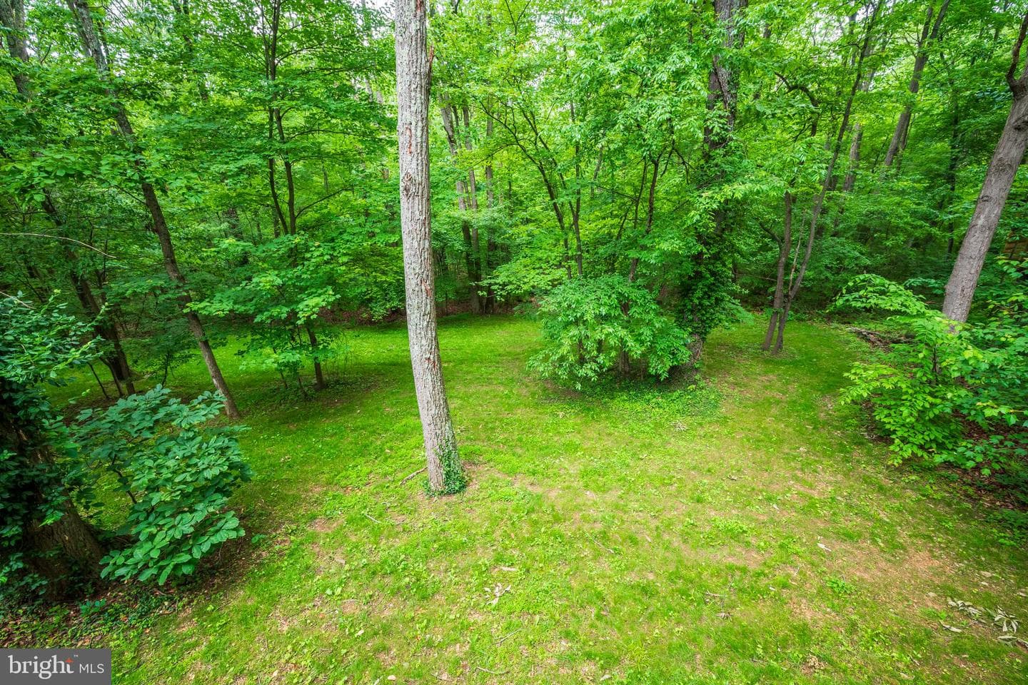 4326 Prices Distillery Road photo 50