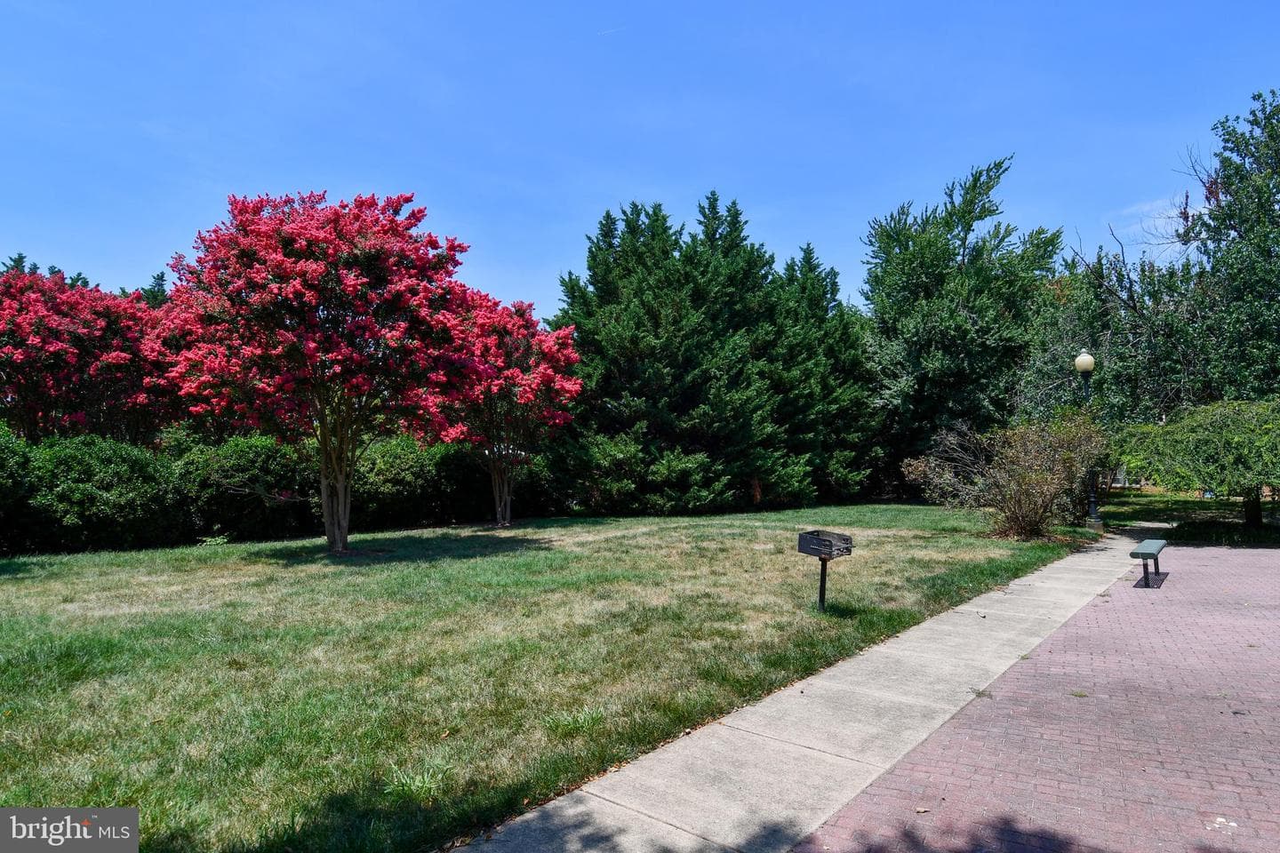 501 Prospect Boulevard #3c photo 23