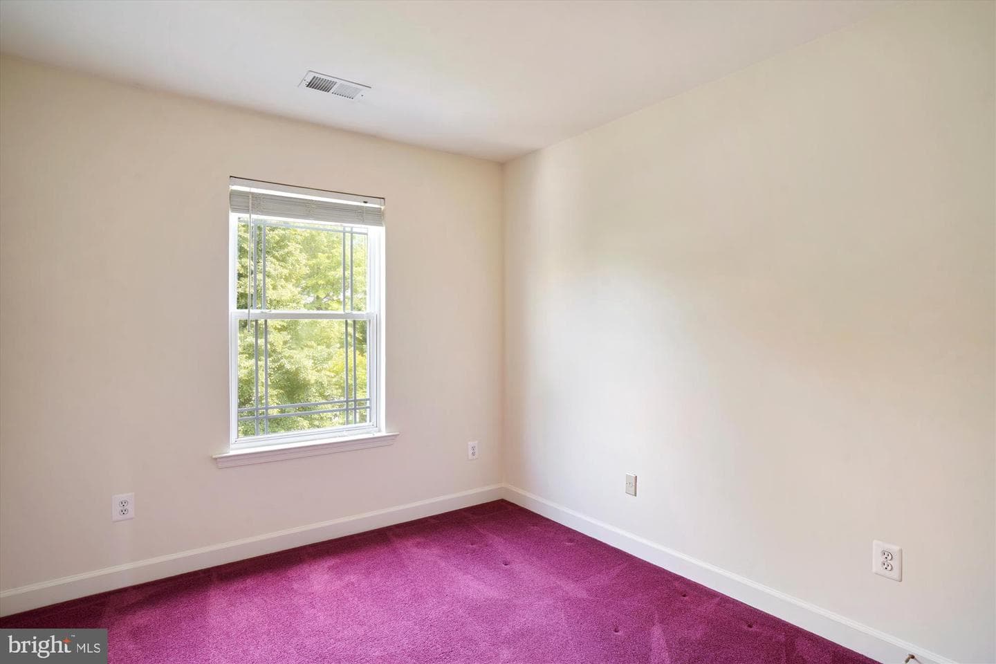 1015 Collindale photo 30