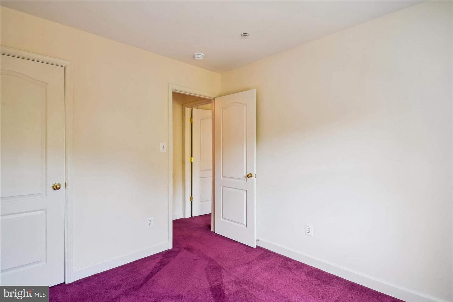 1015 Collindale photo 32