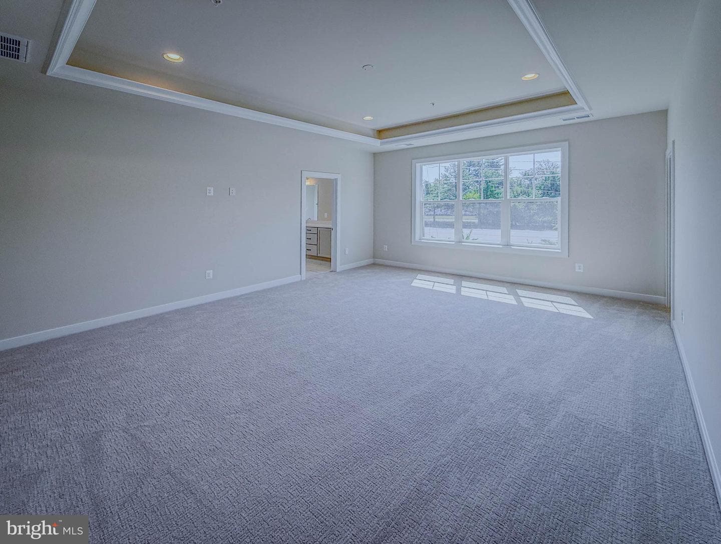 8785 Helleber Spring Circle photo 30