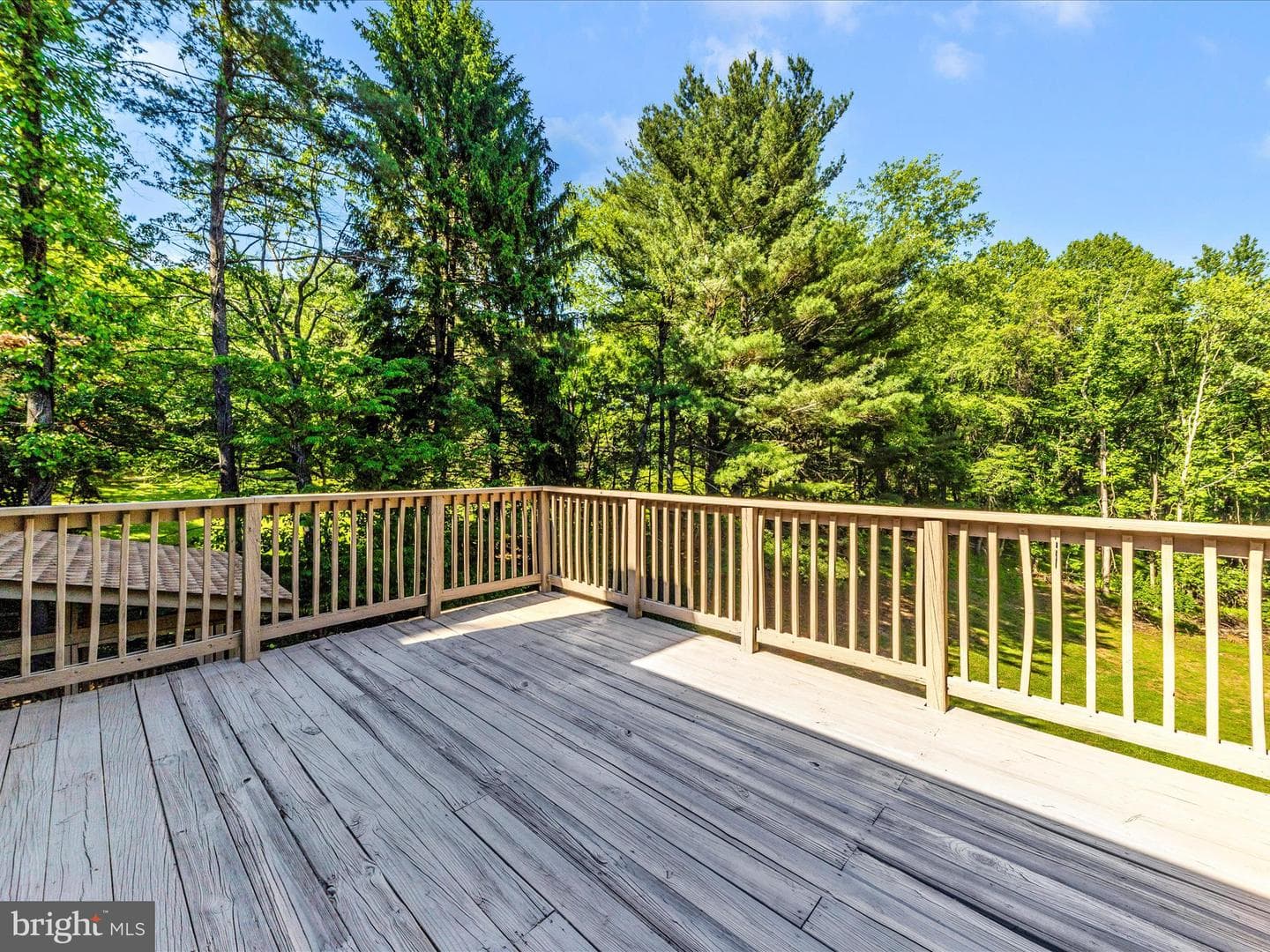 2749 Loch Haven Drive photo 47