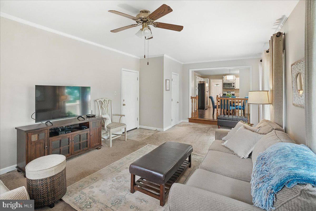 3498 Augusta Drive photo 22