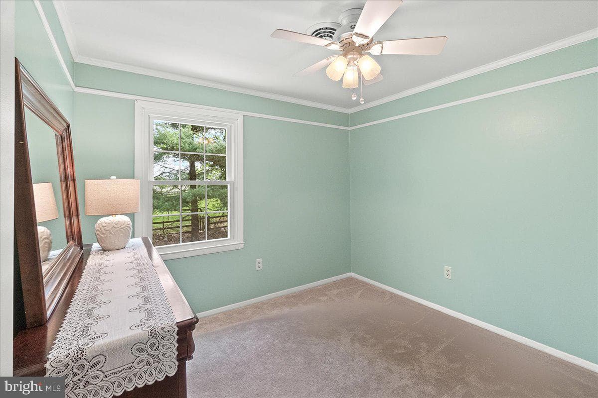 3498 Augusta Drive photo 26