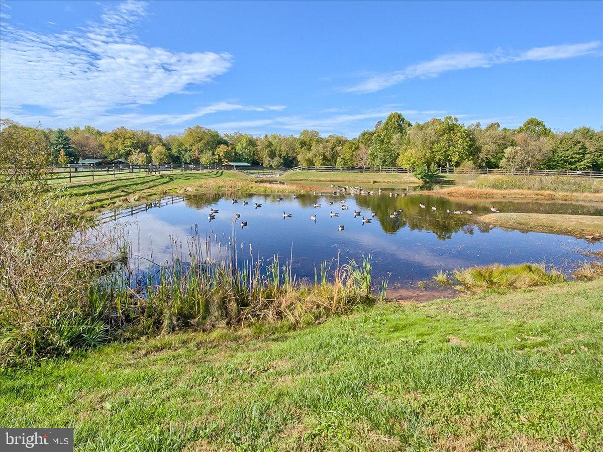 7093 Gresham Court W photo 47