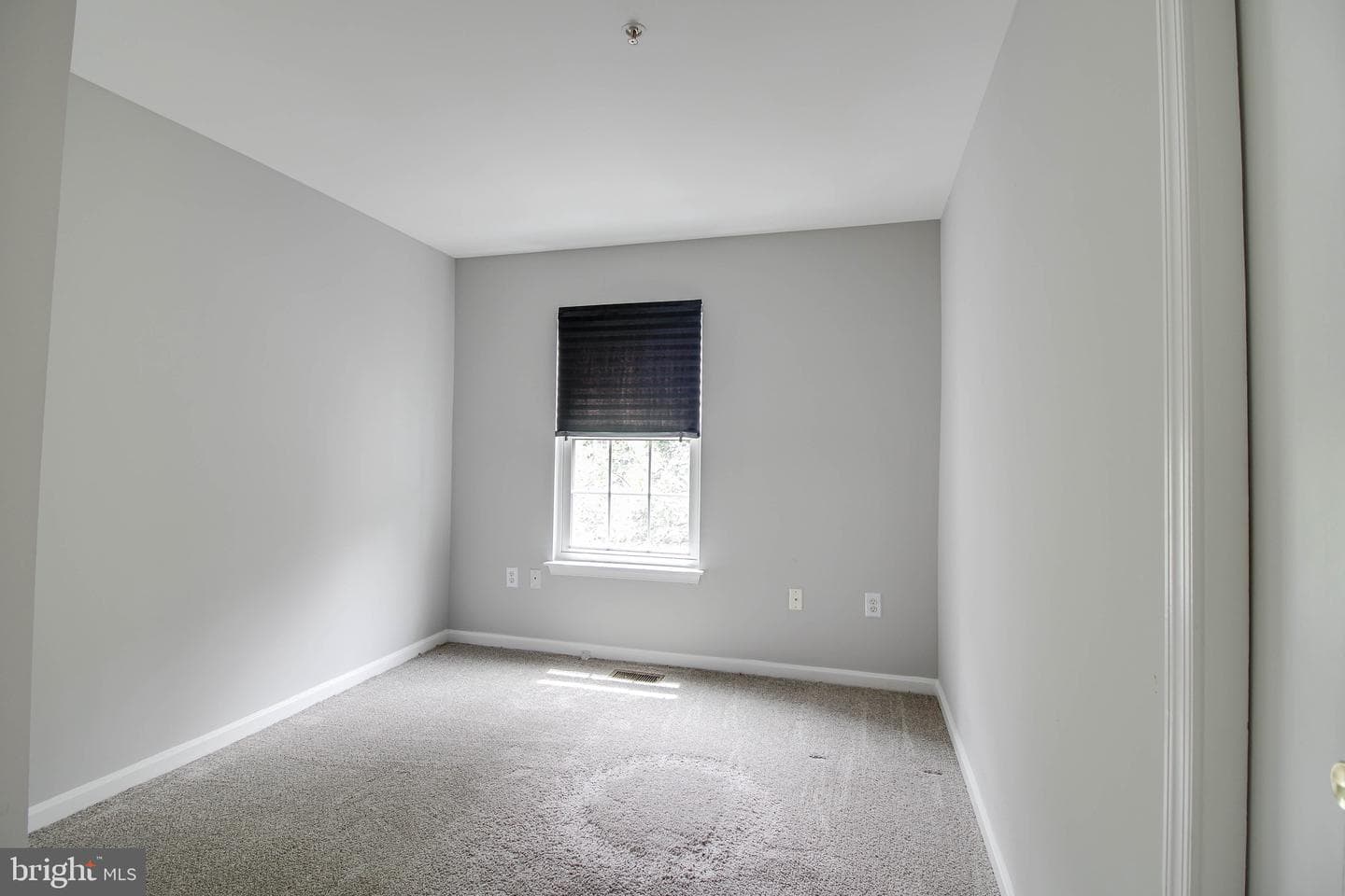 161 Heathfield Drive photo 22