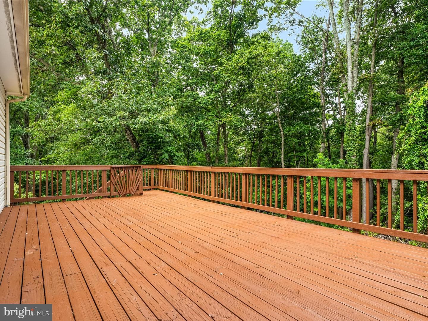 3079 Lindsey Court photo 57
