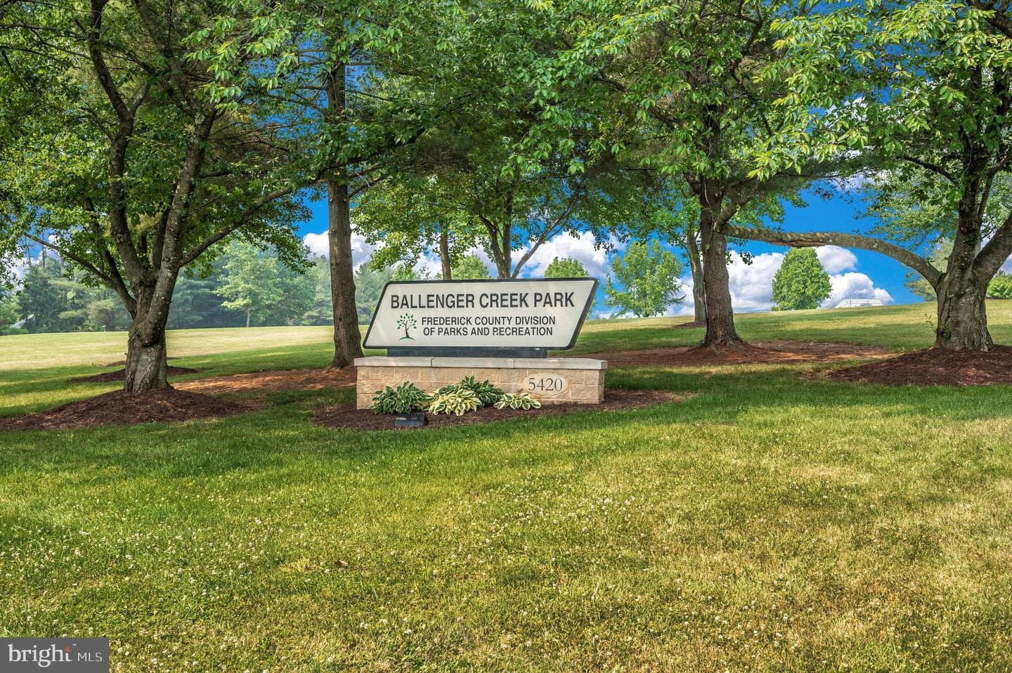 4731 Verdana Loop photo 47