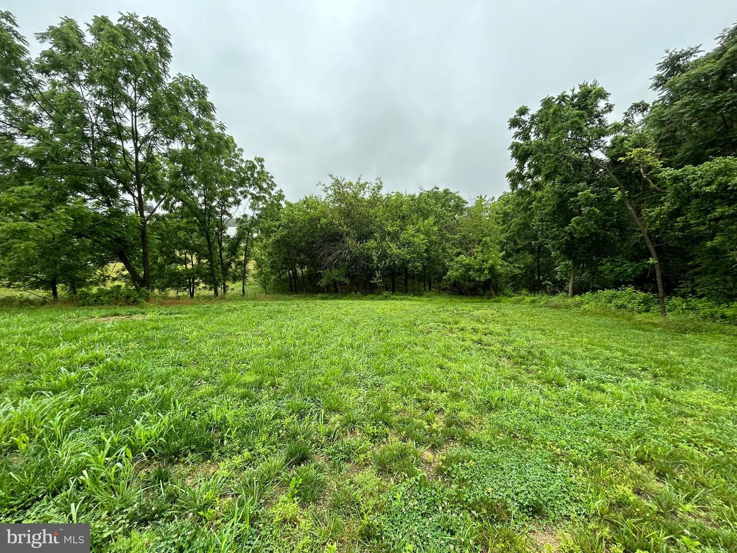 9647 Liberty Road photo 13