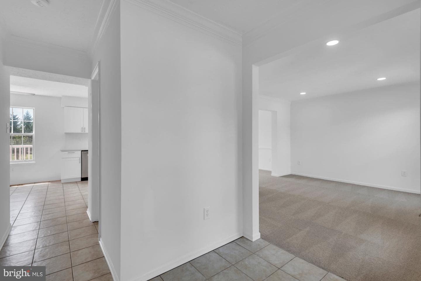 55 Fox Rock Drive photo 5