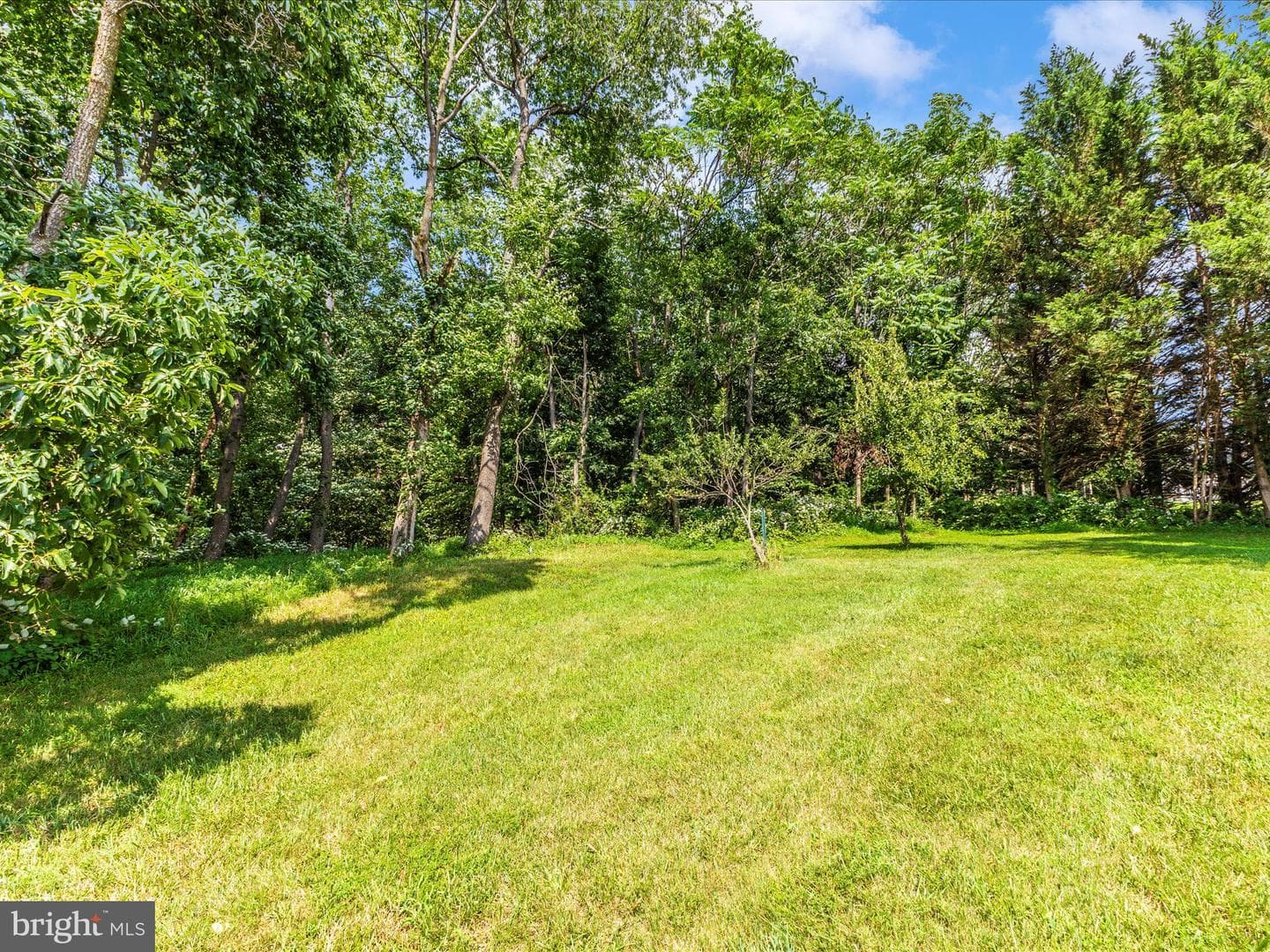13410 Autumn Crest Drive photo 47