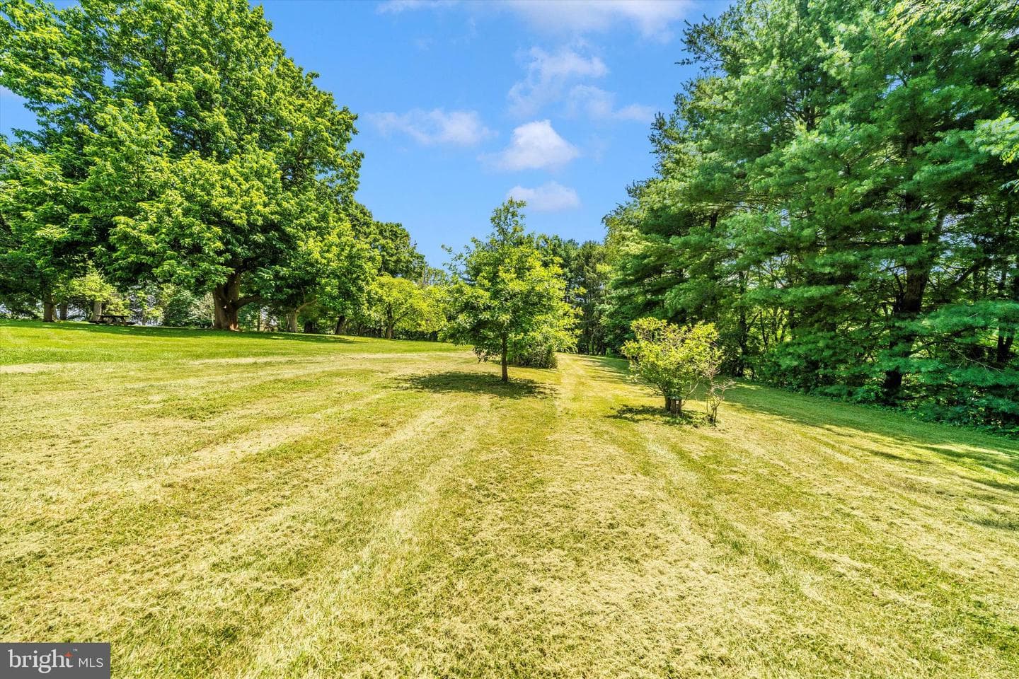 3401 Keats Terrace photo 45