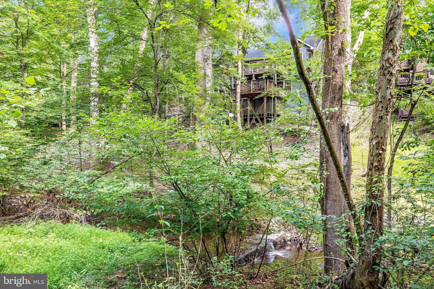 6776 Balmoral Ridge photo 54