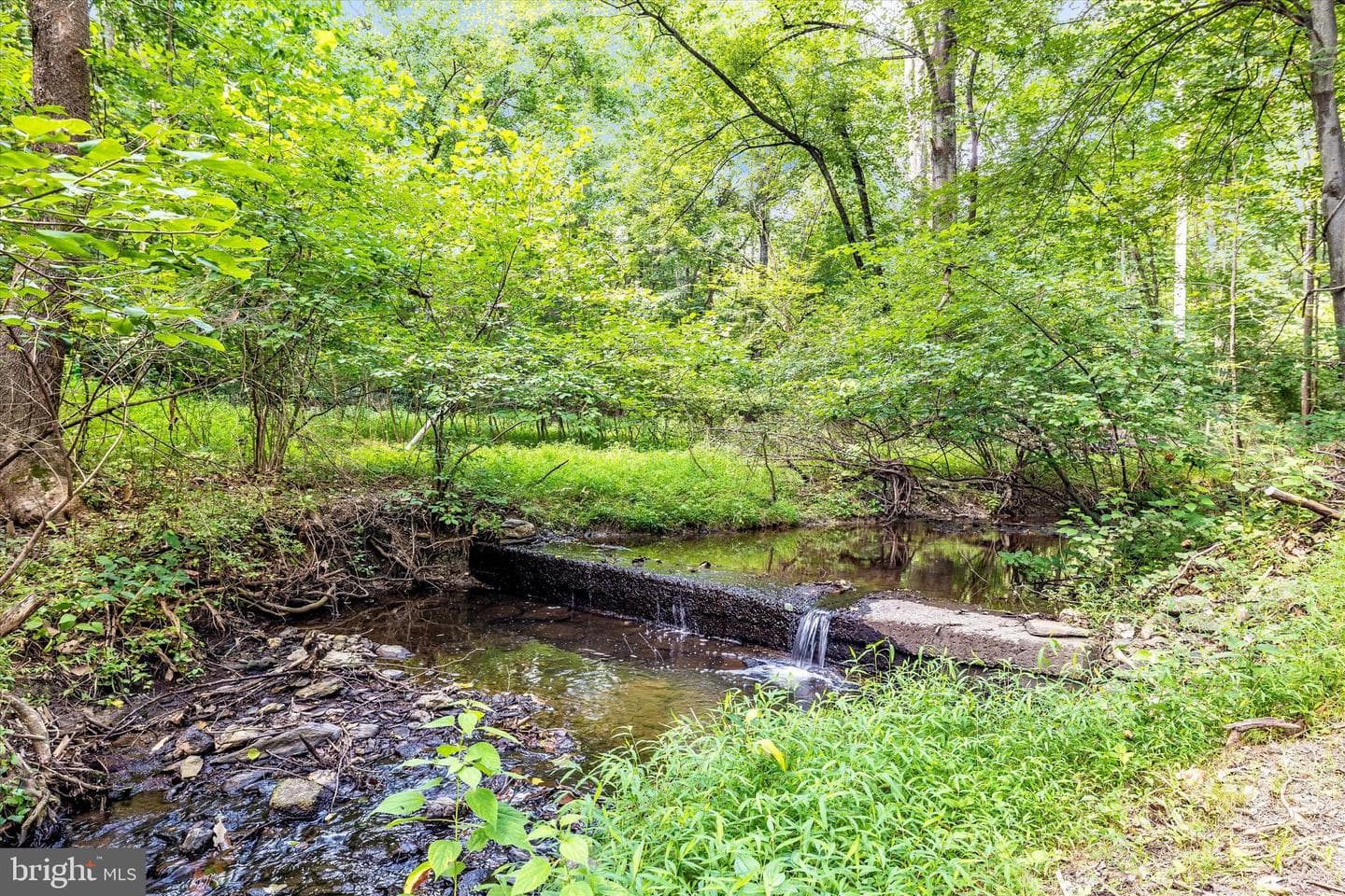 6776 Balmoral Ridge photo 55