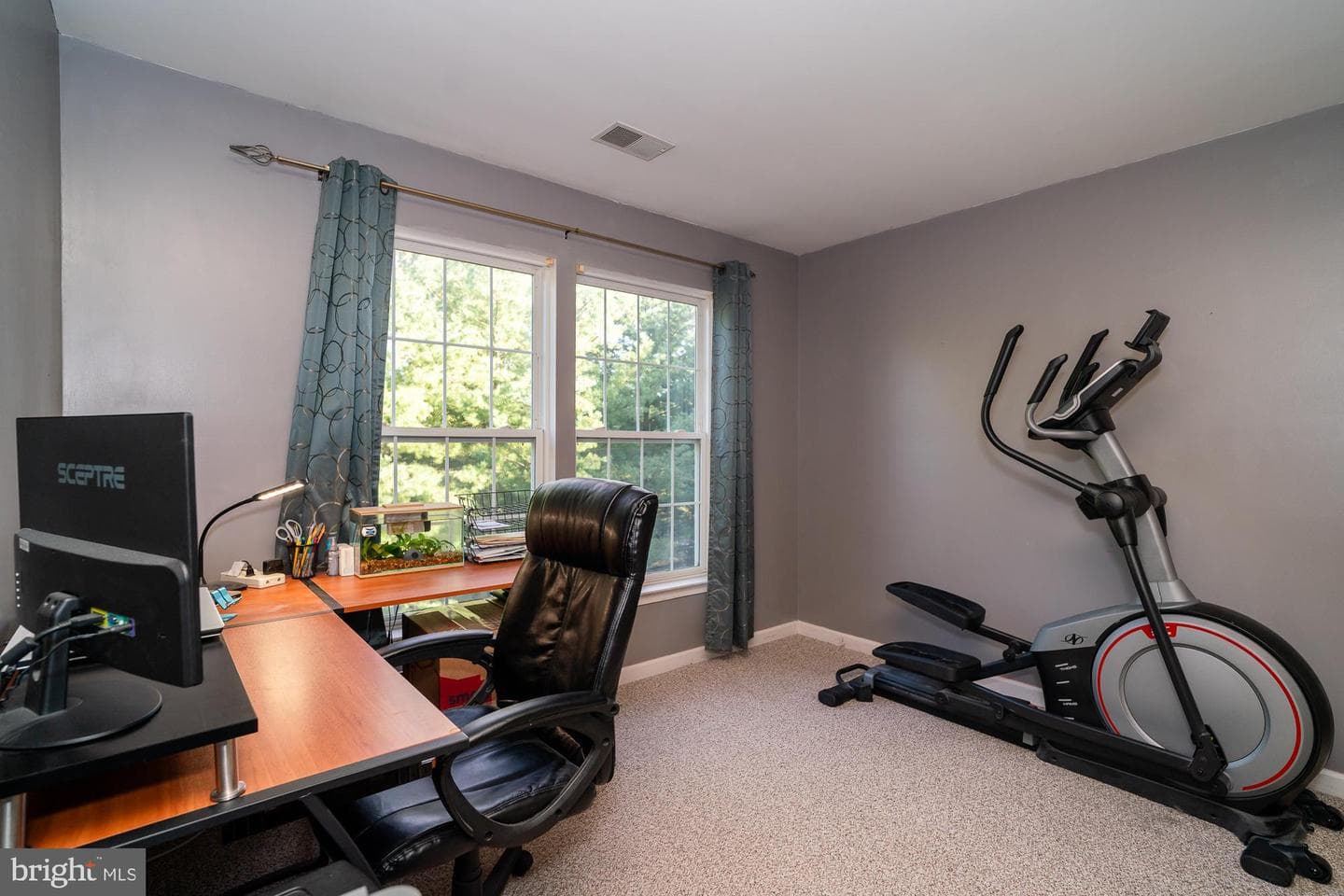 6103 Newport Terrace photo 18
