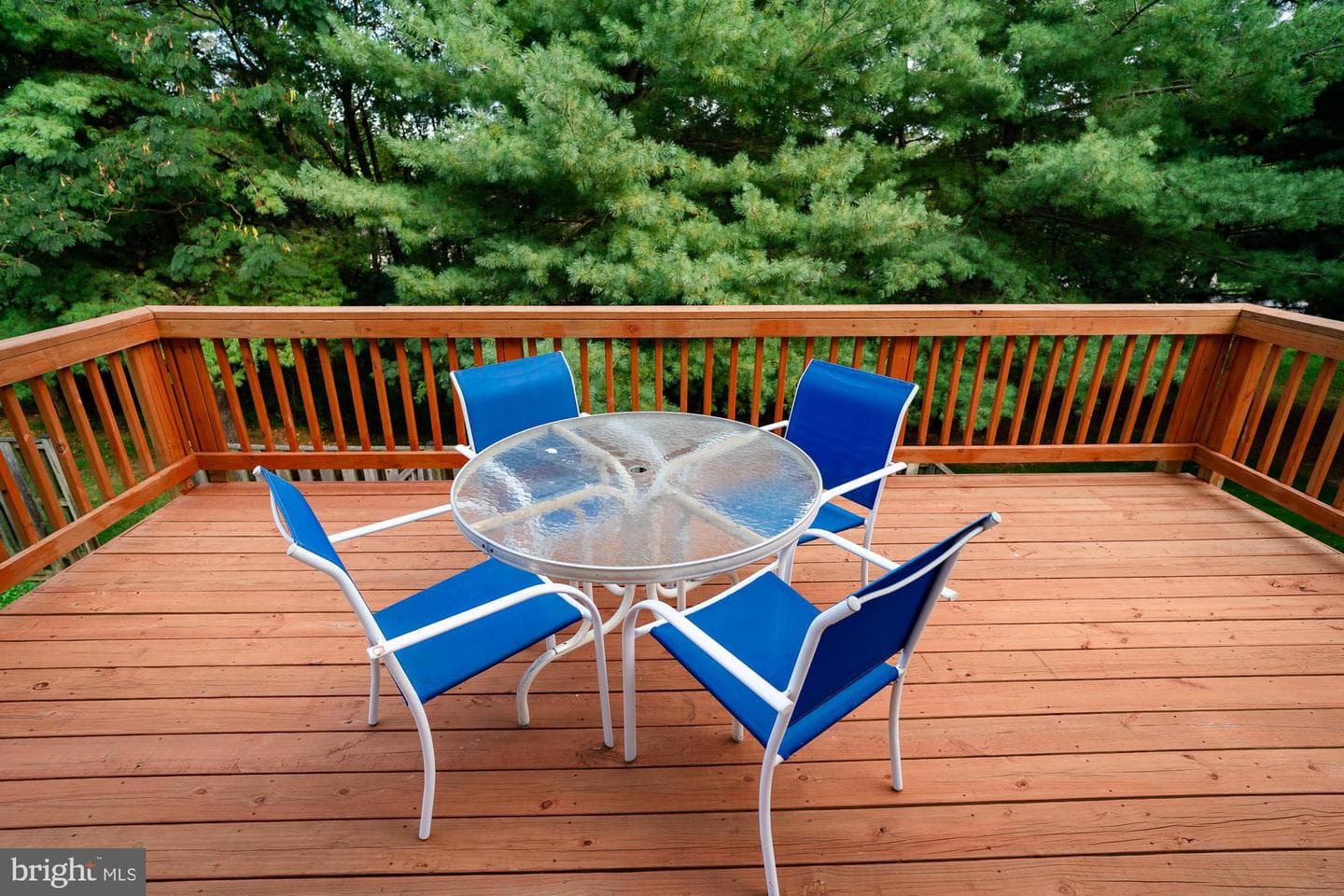 6103 Newport Terrace photo 39