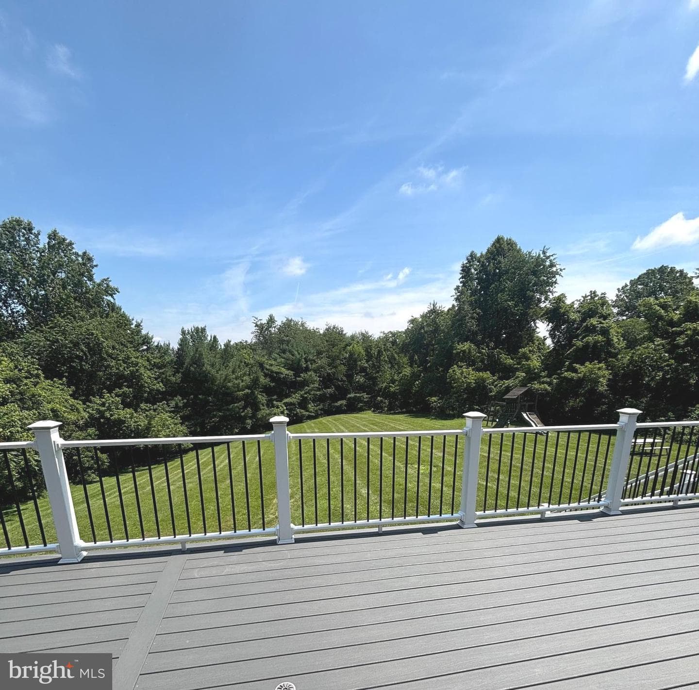 12210 Timber Run Court photo 48