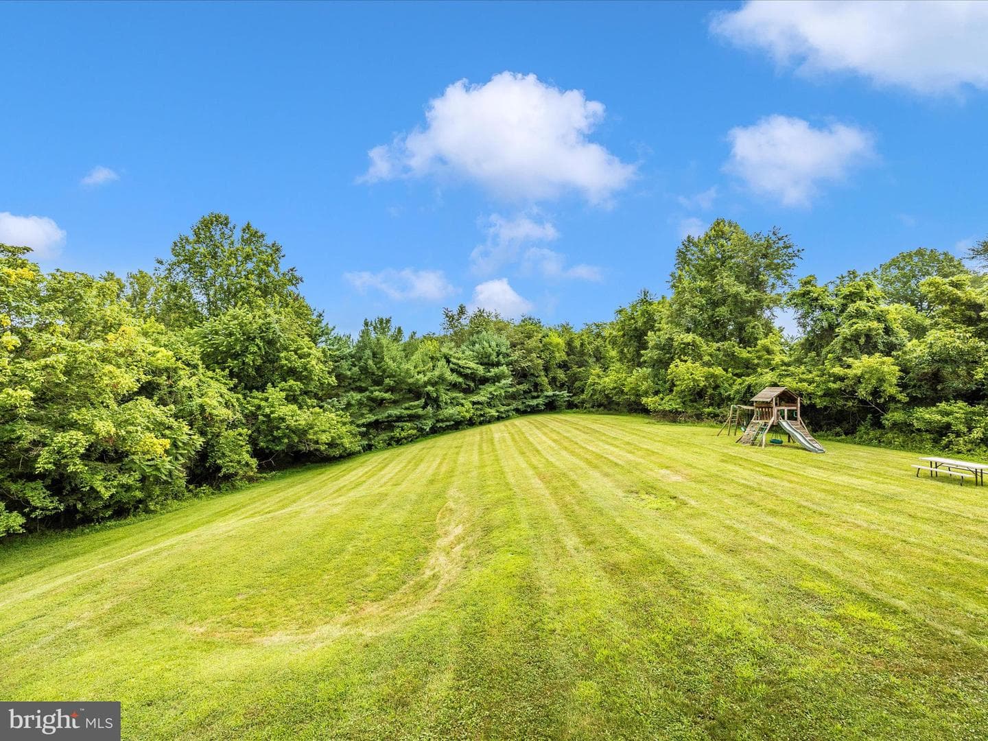 12210 Timber Run Court photo 49