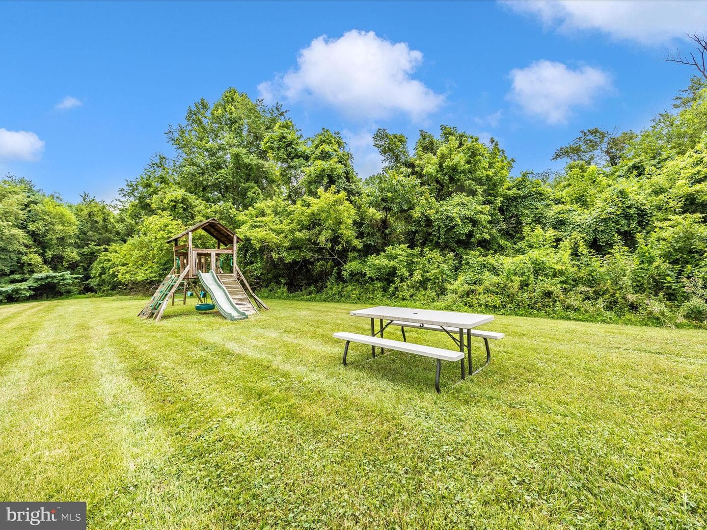 12210 Timber Run Court photo 53