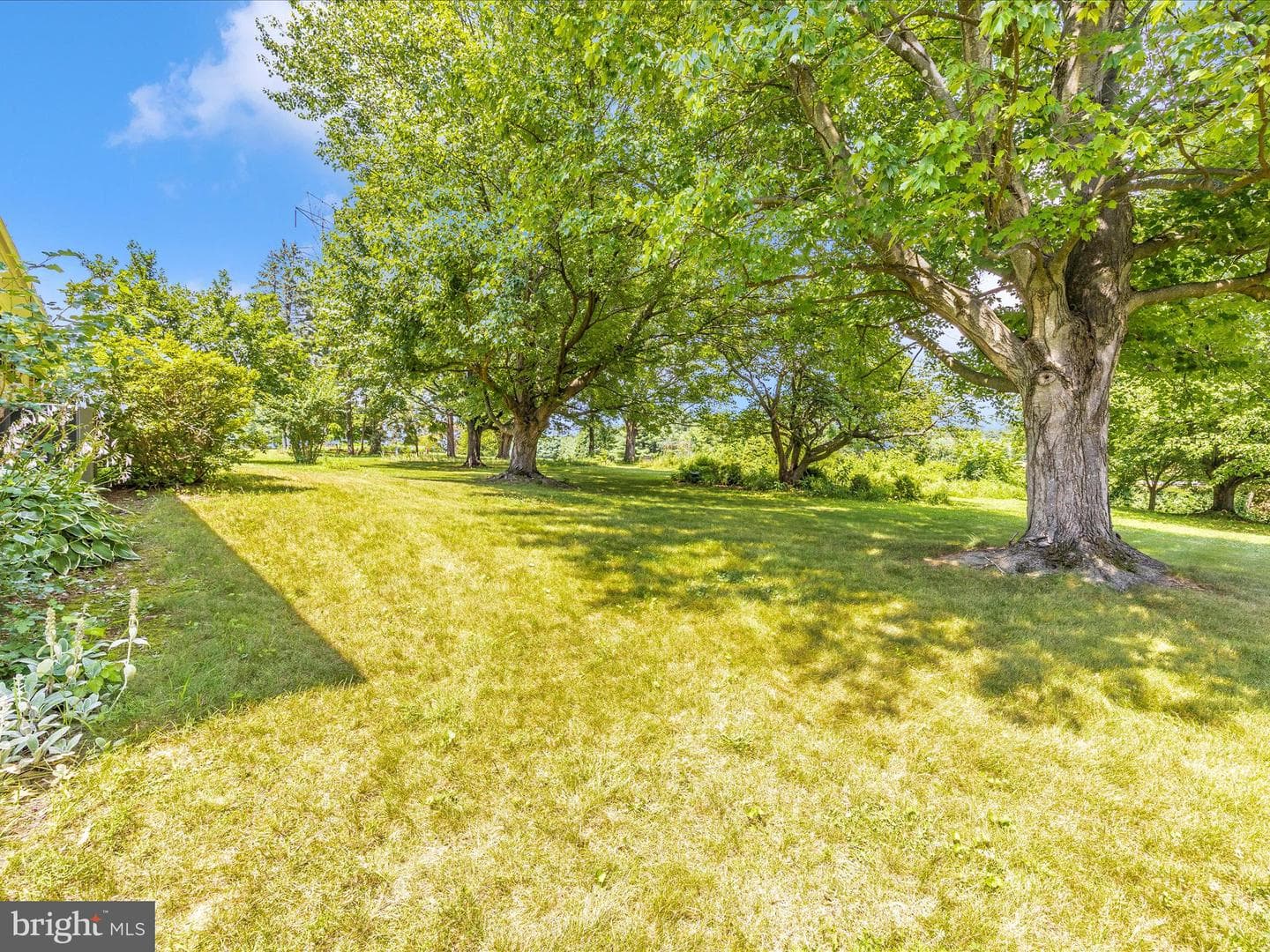9079 Dawn Court photo 46
