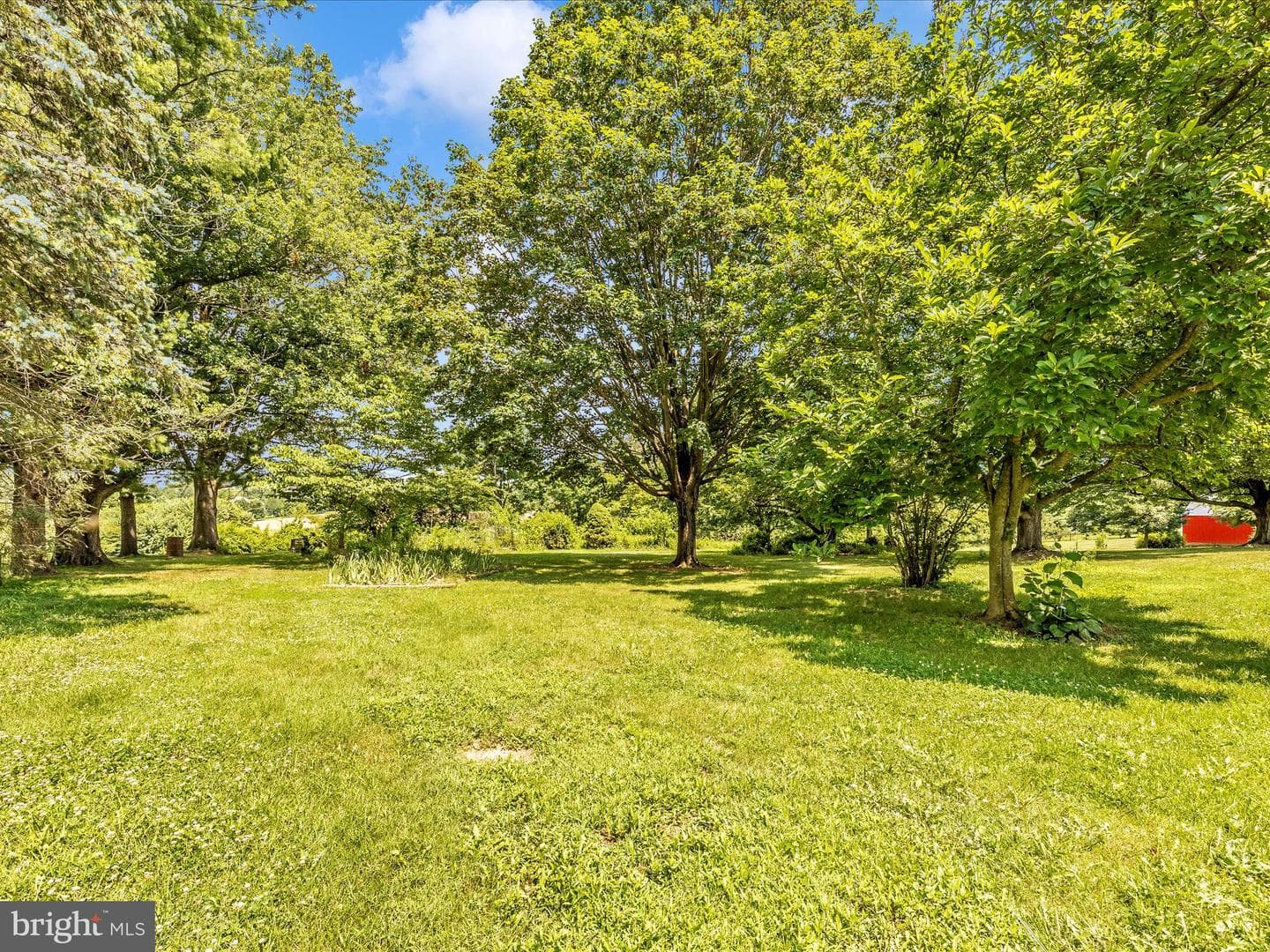9079 Dawn Court photo 47