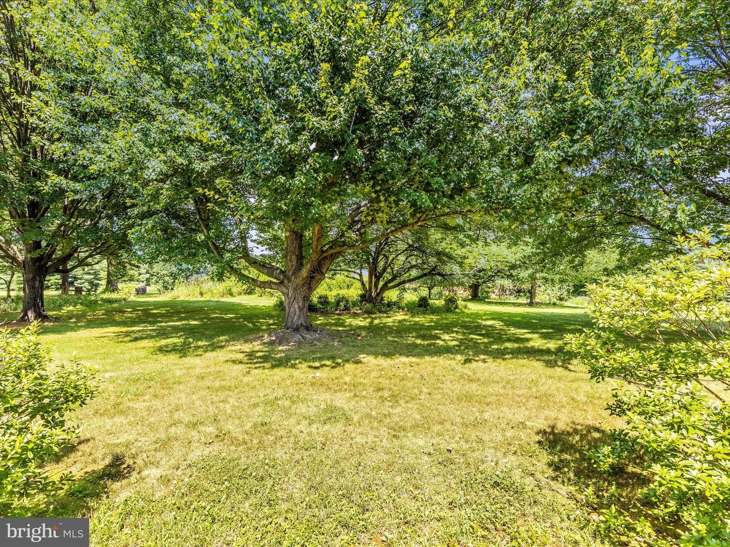9079 Dawn Court photo 48