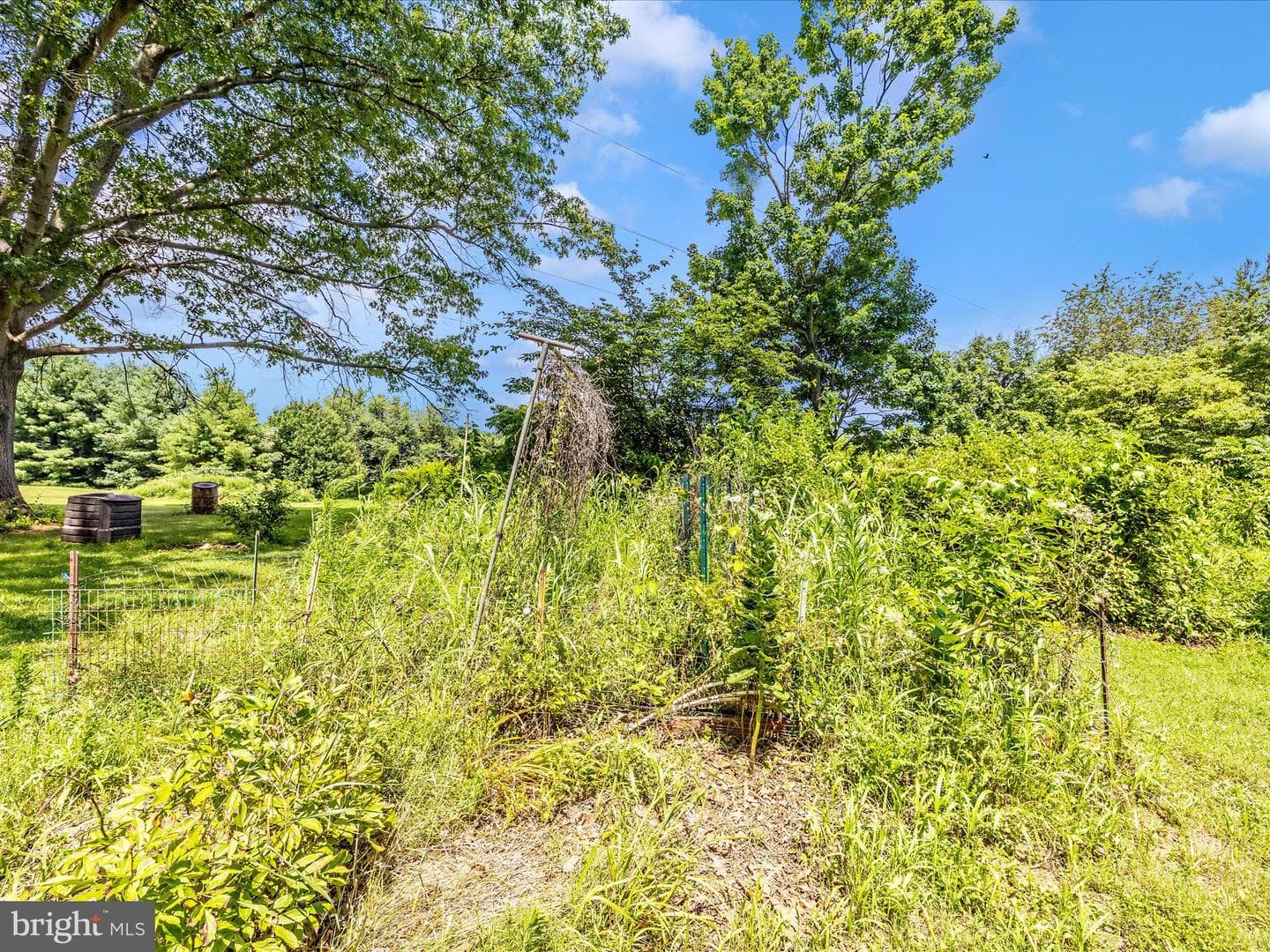 9079 Dawn Court photo 49