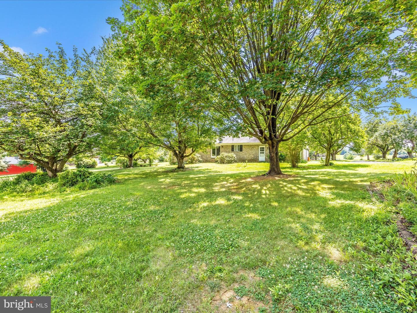 9079 Dawn Court photo 50
