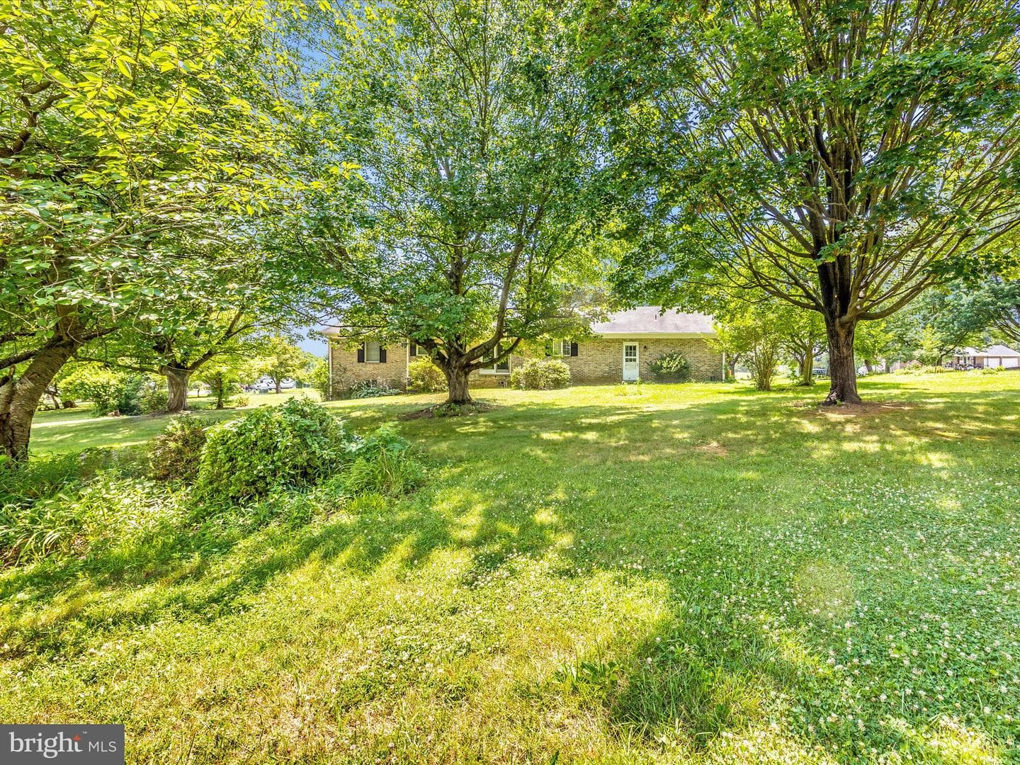 9079 Dawn Court photo 51