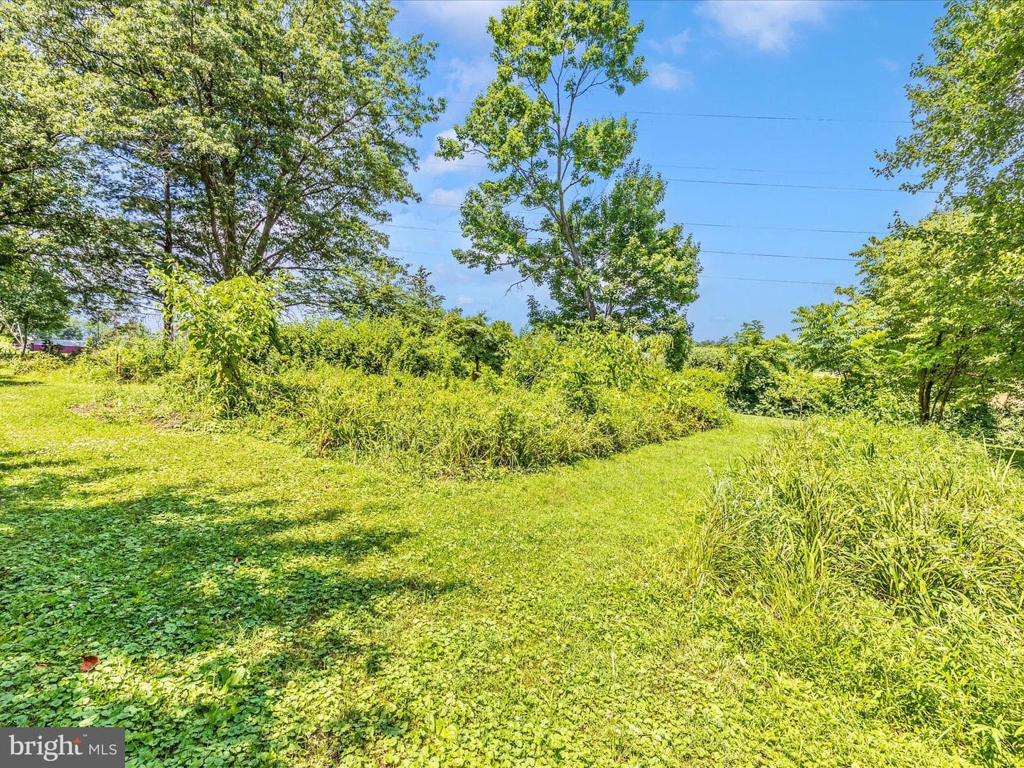 9079 Dawn Court photo 53