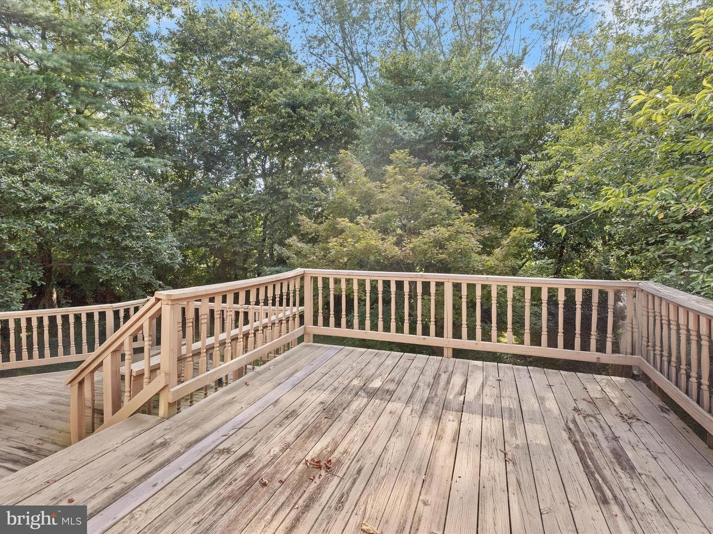 6611 Eider Court photo 23