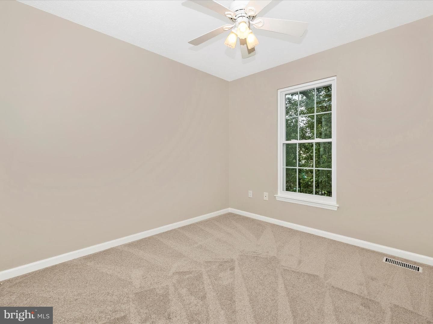 5220 Earles Court photo 23