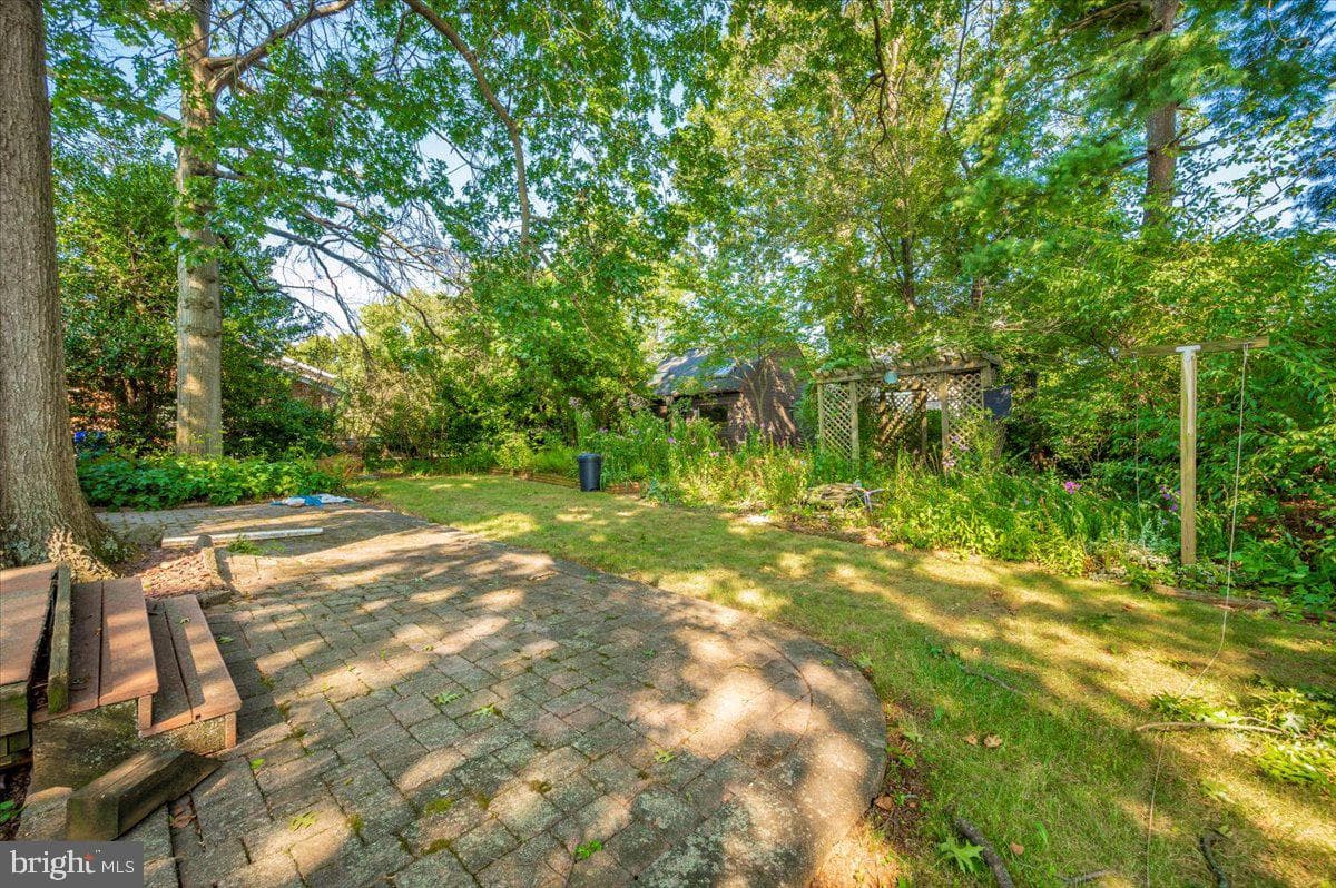 3901 Shadywood Court photo 47