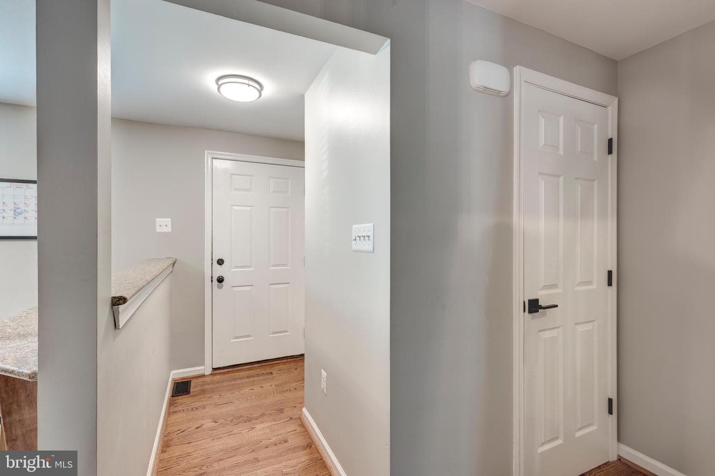 8270 Black Haw Court photo 18