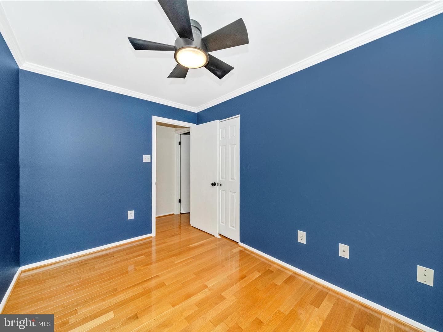 6915 Alex Court photo 29